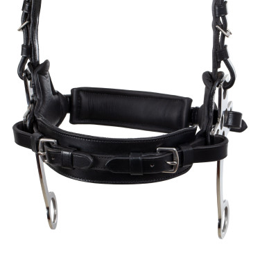 Brida hackamore Supreme Negro