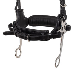 Brida hackamore Supreme Negro