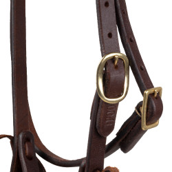 Brida one-ear Pool’s de latón con cierragarganta Engrasado Brida one-ear Pool’s de latón con cierragarganta Engrasado