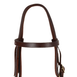 Brida western Pool’s Browband Tie Ends Engrasado