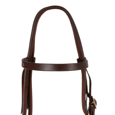 Brida western Pool’s Browband Tie Ends Engrasado