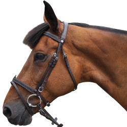Cabezada Canter Black strass Cabezada Canter Black strass