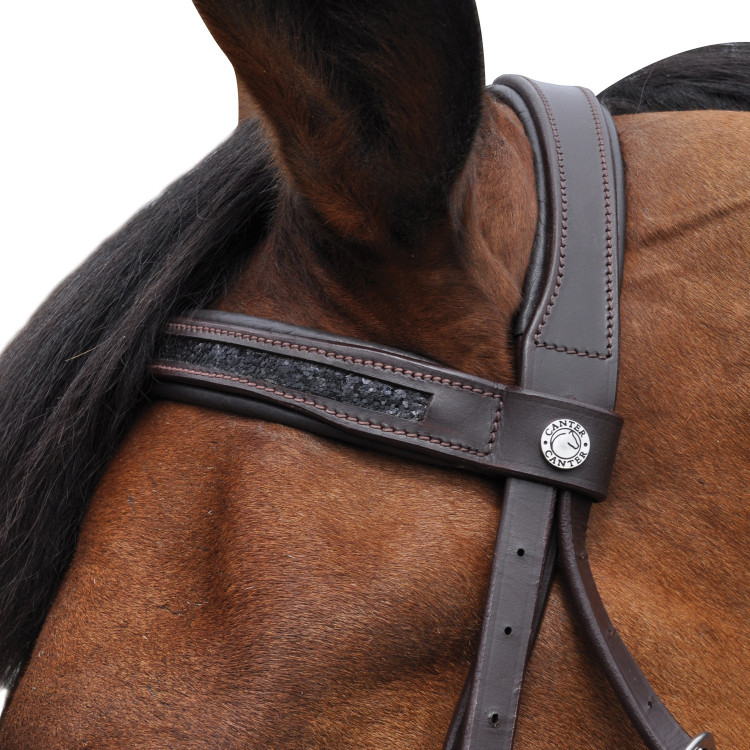 Cabezada Canter Black strass Cabezada Canter Black strass