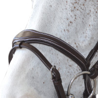 Cabezada Canter ORNELLA Castaño