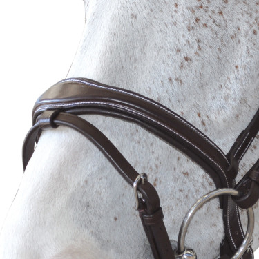 Cabezada Canter ORNELLA Castaño