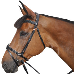 Cabezada Canter ROSE GOLD