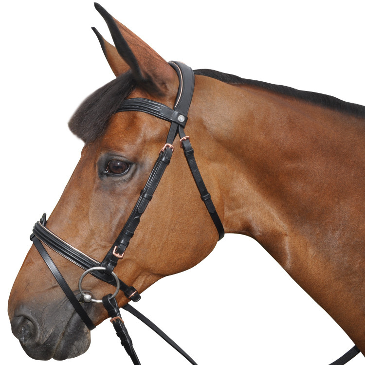 Cabezada Canter ROSE GOLD