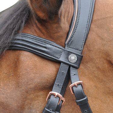 Cabezada Canter ROSE GOLD Cabezada Canter ROSE GOLD