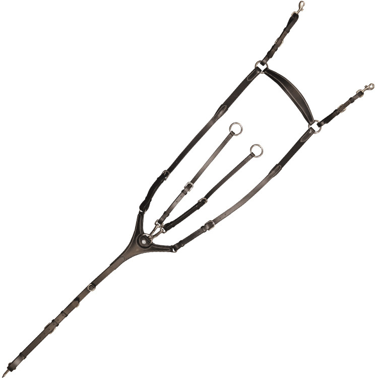 Pechopetral Canter