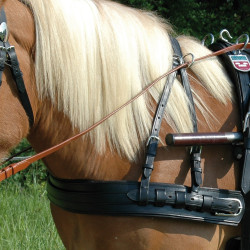 Pechopetral Euro with collar Chetak
