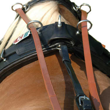 Riendas de cuero Chetak para arnés par Newmarket Marrón