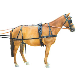 Arnés continental Chetak