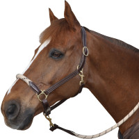 Cabezada de cuadra CHETAK cuerda Cabezada de cuadra CHETAK cuerda