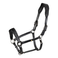 Cabezada de cuero Equestro anatómica Diamond Negro