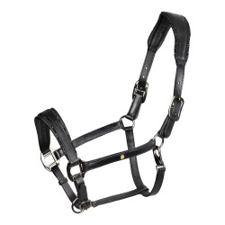 Cabezada de cuero Equestro anatómica Diamond Negro