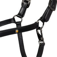 Cabezada de cuero Equestro anatómica Diamond Negro
