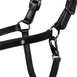 Cabezada de cuero Equestro anatómica Diamond Negro