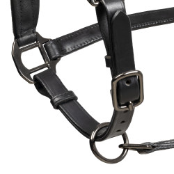 Cabezada de cuero Equestro anatómica Diamond Negro