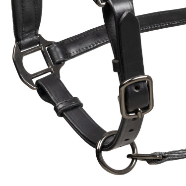 Cabezada de cuero Equestro anatómica Diamond Negro