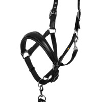 Cabezada ergonómica Equestro con inserciones de cuero Negro / burdeos