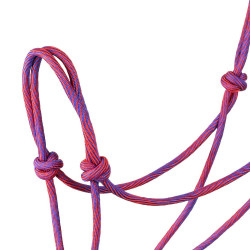 Cabezada Pool’s motivo Waves Rosa / morado