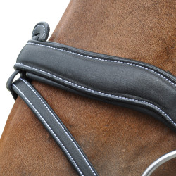 Cabezada  Flags & Cup Comfort Castaño