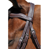 Cabezada  Flags & Cup Copenhague Castaño