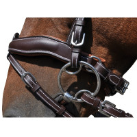 Cabezada  Flags & Cup Copenhague Castaño