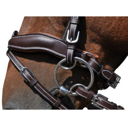 Cabezada  Flags & Cup Copenhague Castaño Cabezada  Flags & Cup Copenhague Castaño