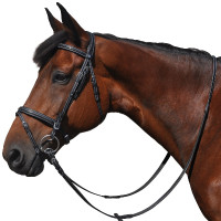 Cabezada  Flags & Cup Helsinki Castaño Cabezada  Flags & Cup Helsinki Castaño