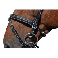 Cabezada  Flags & Cup Helsinki Castaño Cabezada  Flags & Cup Helsinki Castaño