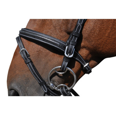 Cabezada  Flags & Cup Helsinki Castaño