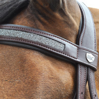 Cabezada  Flags & Cup Kitsi Castaño Cabezada  Flags & Cup Kitsi Castaño