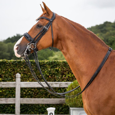 Brida Dy'on colección doma cuero plano Muserola Ancha Brillante Brida Dy'on colección doma cuero plano Muserola Ancha Brillante