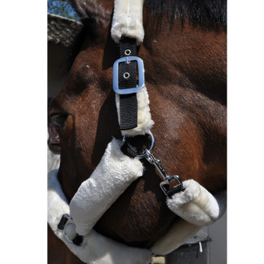 Cabezada de cuadra Flags & Cup trasporte Castaño