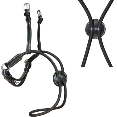 Correa nasal cruzada elástica Flags & Cup