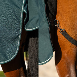 Manta de paddock Imperial Riding Basic con cuello desmontable de 400 g Verde