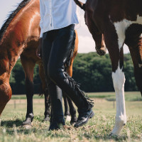 Chaps largas Dy'on en cuero sintético con flecos Negro Chaps largas Dy'on en cuero sintético con flecos Negro
