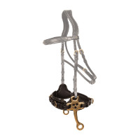 Hackamore Dy'on Negro