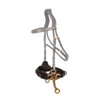 Hackamore Dy'on Negro