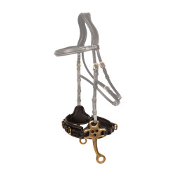 Hackamore Dy'on Negro