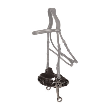 Hackamore Dy'on New English Negro Hackamore Dy'on New English Negro