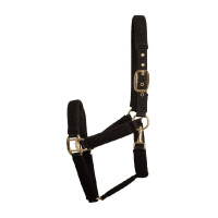 Cabezada 3D Mesh Kentucky Negro