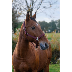 Cabezada de nailon Spring Equithème Burdeos