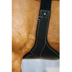 Cincha con babero Magnet Norton Negro