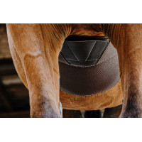 Cincha con babero Magnet Norton Havana Marrón