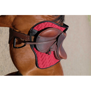 Cincha con babero Magnet Norton Havana Marrón