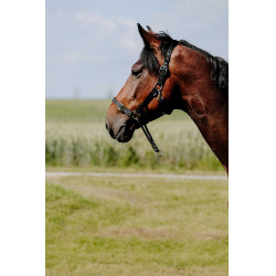 Cabezada Norton Educativa Negro Cabezada Norton Educativa Negro