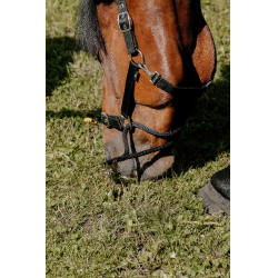 Cabezada Norton Educativa Negro Cabezada Norton Educativa Negro