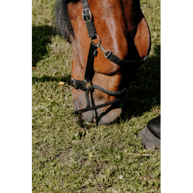 Cabezada Norton Educativa Negro Cabezada Norton Educativa Negro